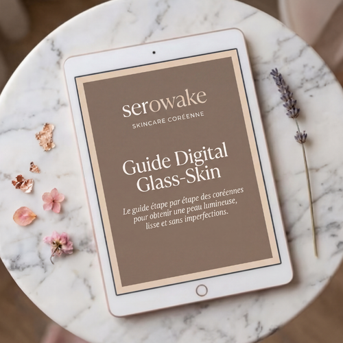 Guide Digital Glass-Skin