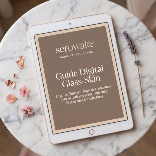 Guide Digital Glass-Skin